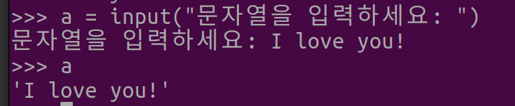 그림 1. Python 문자열 입력 input()을 이용해서 해보기